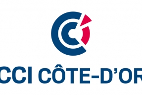 Très haut débit : la CCI fait le point en Haute Côte-d'Or
