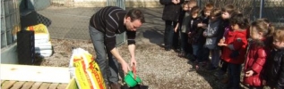 Graines d'Ecolier : plus de 60 écoles mobilisées autour d'un projet 100 % Côte-d'Orien.