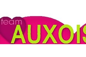Bilan de la saison 1 des actions numériques de la #teamauxois