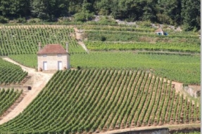 La Bourgogne : destination touristique de portée internationale 