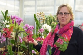 Gemeaux, capitale du grand-est de l'orchidée?