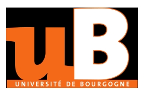Semaine internationale à l'université de Bourgogne