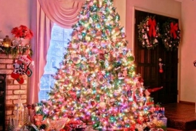 Brûlage ou broyage ? La seconde vie du sapin de Noel ! 