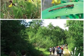 Rendez-vous nature en Bourgogne, saison 2016