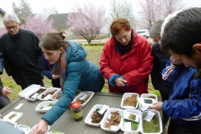 A déchets verts bien gérés, jardin bien cultivé !