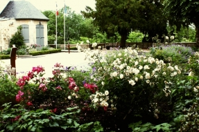 Trois fleurs et cinq roses... Talant porte de la capitale des Ducs