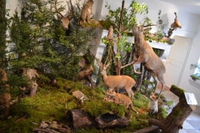 La forêt Côte-d'Orienne a sa maison... c'est à Leuglay !