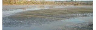 Vidange de l'étang de Marcenay ; une première opération de gestion de grande envergure