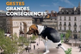 Visuels chocs pour ville propre, Dijon entre en campagne.