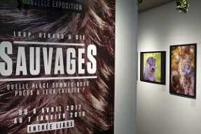 Sauvages, la nouvelle exposition du Jardin des Sciences