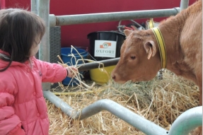 La ferme Côte-d'Or fête ses 10 ans à la foire de Dijon