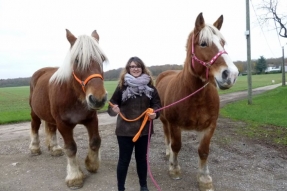 Ludivine bachotet : passionnée de chevaux comtois