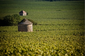 Soutien au « Patrimoine viticole des Climats »  24 restaurations déjà financées et un nouvel appel à projets ouvert jusqu'au 13 avril 2018