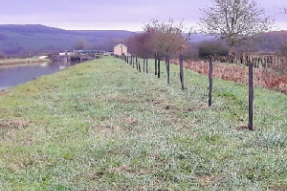Prix "Allées d'arbres" du concours "sauvegarde du Patrimoine" 2018 