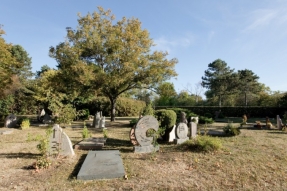 Le cimetière de demain