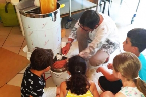 Le Miel de Chenôve millésime 2019, une 1ère récolte avec les enfants