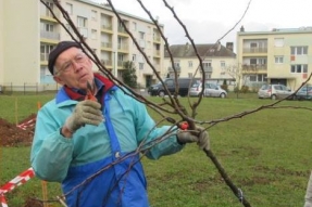 Une forêt comestible à Chenôve 