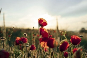  Remise des prix du concours photographique « Mon jour le plus long en Bourgogne-Franche-Comté » 2019