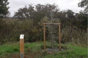 Arboretum, espèces remarquables et vergers conservatoires s'invitent le long du canal de Bpourgogne