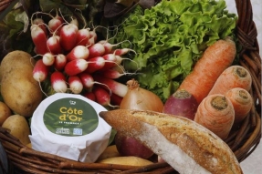 J'veux du local - Le goût de ma Côte-d'Or