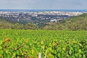 Balade autour de Dijon #1 : Le plateau de La Cras, Plombières-lès-Dijon, La combe à La Serpent.