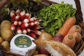 "J'veux du local - Le goût de ma Côte-d'Or" : les producteurs de vins intègrent la plateforme