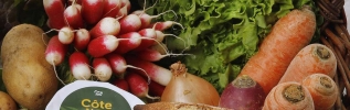 "J'veux du local - Le goût de ma Côte-d'Or" : les producteurs de vins intègrent la plateforme