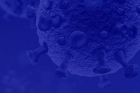 Coronavirus, le déconfinement pendant la période estivale