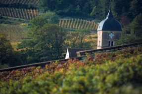 Tourisme et découverte, les Climats du vignoble de Bourgogne se dévoilent