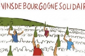 Les Vins de Bourgogne Solidaires réalisent un carton plein !