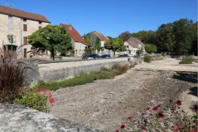 SECHERESSE : La situation de crise se généralise en Côte-d'Or