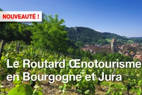 Oenotourisme en Bourgogne et Jura : le nouveau Guide du Routard