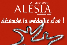 Trophées Tourisme & Handicap en France, le MuséoParc Alésia décroche la médaille d'or !