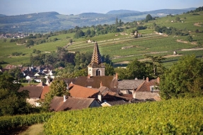 Projets éoliens, l'Association des Climats du vignoble de Bourgogne tire la sonnette d'alarme, le RES fait valoir son droit de réponse