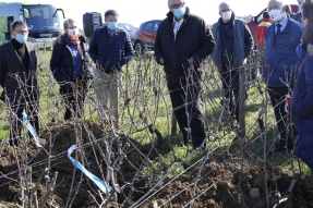 Vignes départementales à Pommard : mieux comprendre le sol pour mieux le préserver
