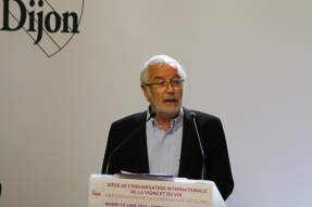 OIV : La France choisit Dijon pour accueillir l'ONU du vin