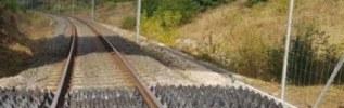 Faune sauvage et réseau ferroviaire : des aménagements concrets pour améliorer la sécurité et la régularité des trains