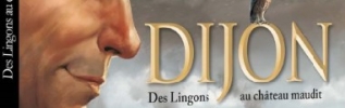 Vous aimez votre ville, vous allez adorer son docu-bd