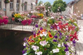Label « Villes et Villages Fleuris » 2022 en Côte-d'Or