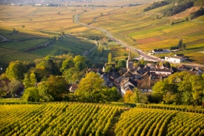 Classement Loi 1930 du site de la Côte nord de Beaune : une bonne nouvelle pour les Climats du vignoble de Bourgogne