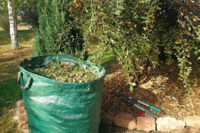 Déchets verts, une mine d'or au jardin