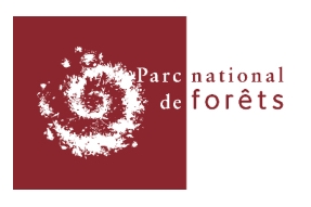 Des agent-es du Parc national de forêts s'engagent auprès des Services Départementaux d'Incendie et de Secours