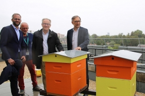 Orange offre un toit pour les abeilles à Dijon
