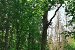 La Parc national de forêts lance un questionnaire sur la perception des changements climatiques