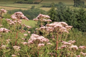 LE RENDEZ-VOUS DES MARQUÉS « VALEURS PARC NATUREL RÉGIONAL »