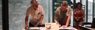 Le musée de Bibracte devient refuge pour les chauves-souris !