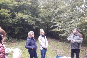 Faire aimer la forêt aux enfants