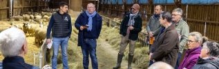 Soutien à la filière ovine : la Région Bourgogne-Franche-Comté s'engage pour l'avenir de nos territoires