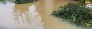 La commune de Chorey-lès-Beaune en état de catastrophe naturelle reconnu