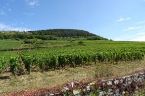 VIGNOBLES EN SCENE : Rendez-vous au coeur des vignobles de Saône-et-Loire pour une 2e édition placée sous le signe de la fête !